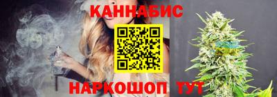 сатива Камышлов