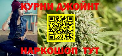 сатива Камышлов
