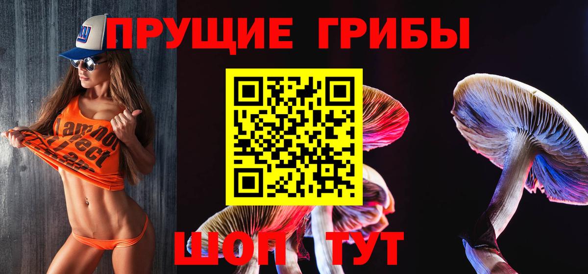 Псилоцибиновые грибы ЛСД  где купить наркотик  Королёв  Вход с VPN 